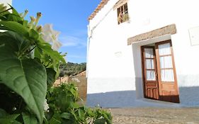 La Casita del Chopo by SIERRA VIVA